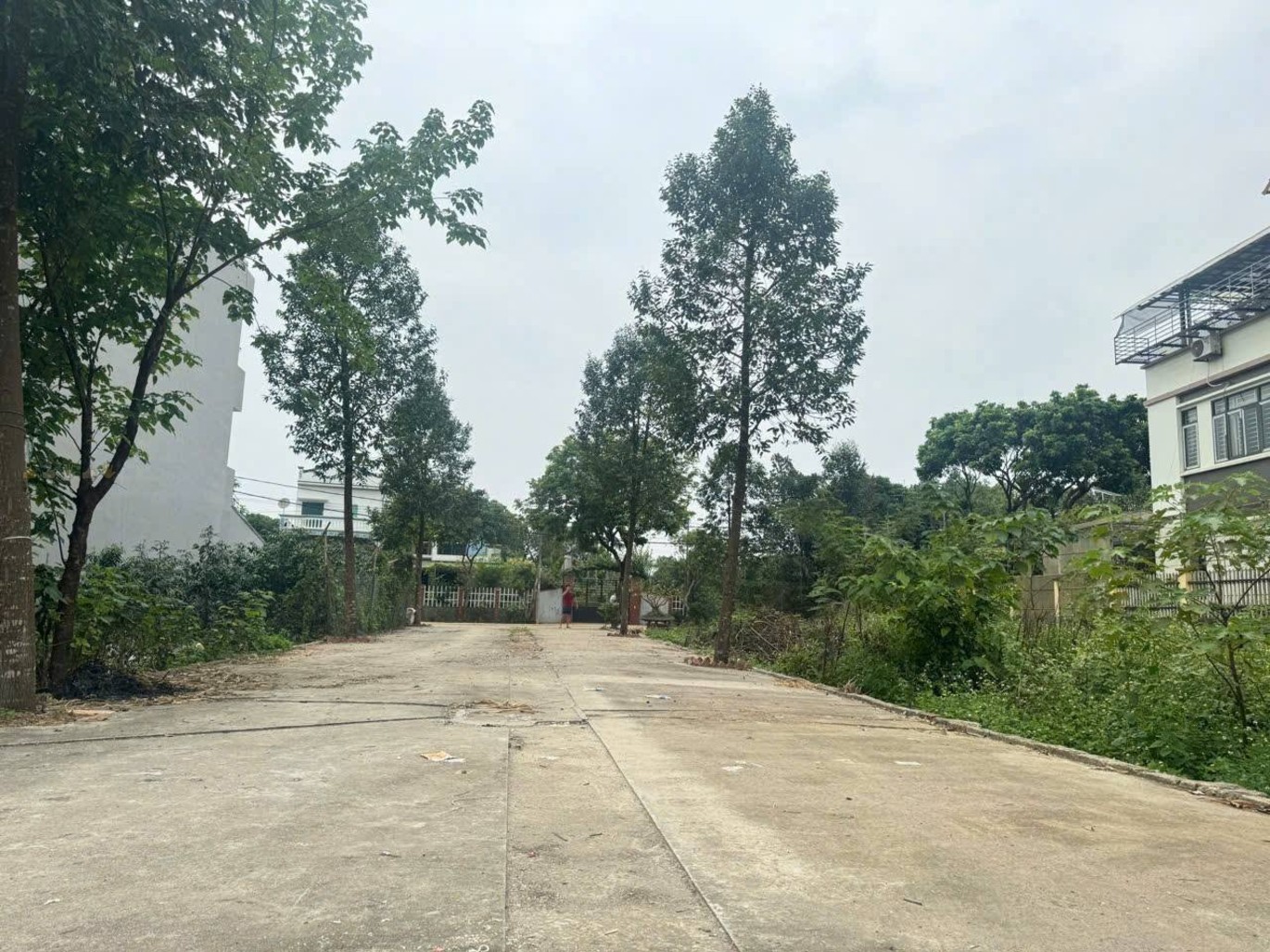 Đất nền Thị trấn Quất Lâm, Huyện Giao Thủy 2 tỷ – 100m² gần trục chính ra biển, tiện mở homestay – - Ảnh 2